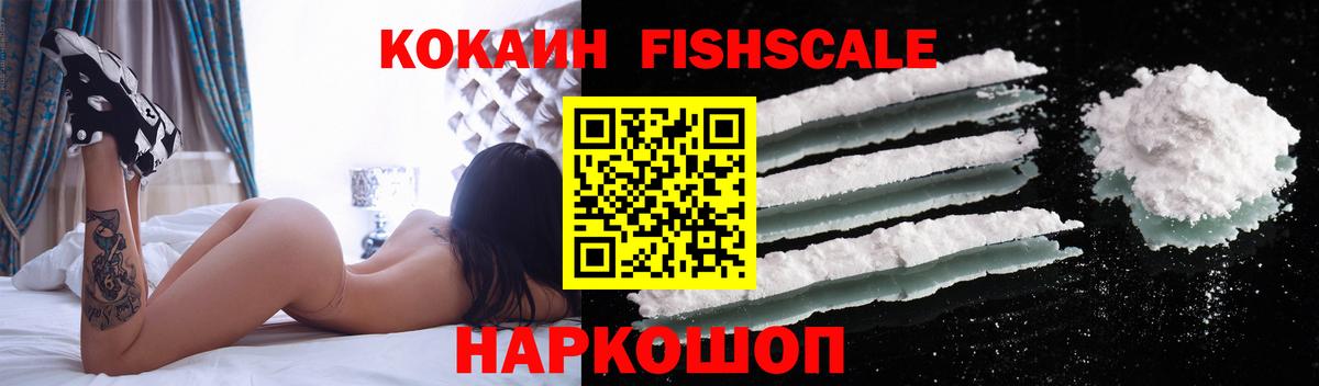 Cocaine Fish Scale  Вход с VPN  Новоалександровск  Кокаин Колумбийский 