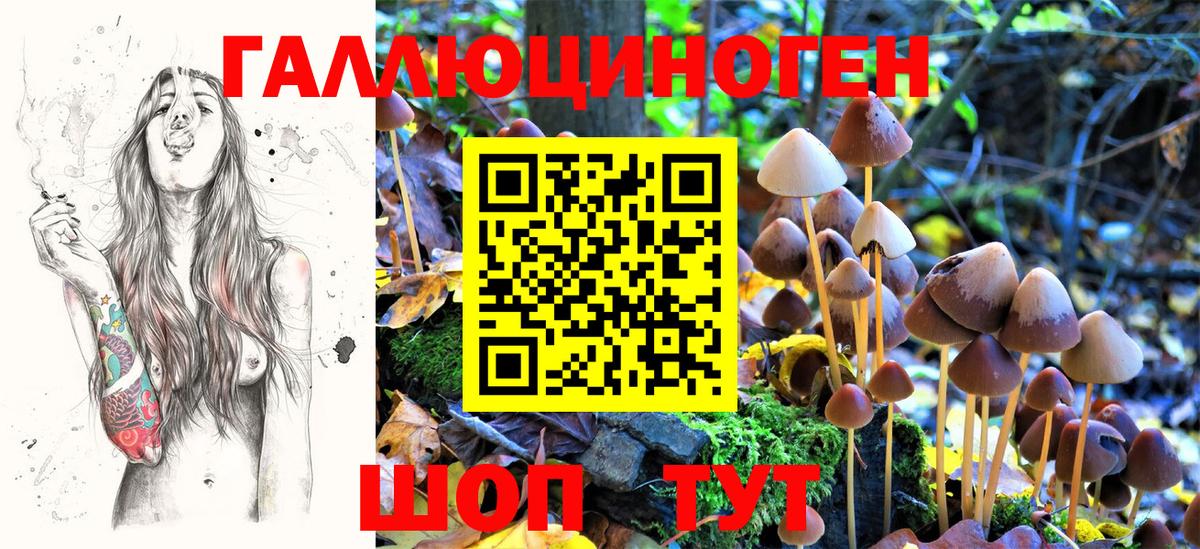 магазин  наркотиков  Псилоцибиновые грибы MAGIC MUSHROOMS  Вход с VPN  Новоалександровск 