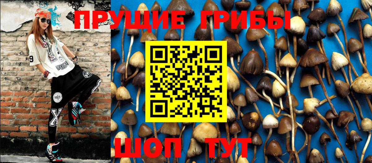 Псилоцибиновые грибы мухоморы Новоалександровск